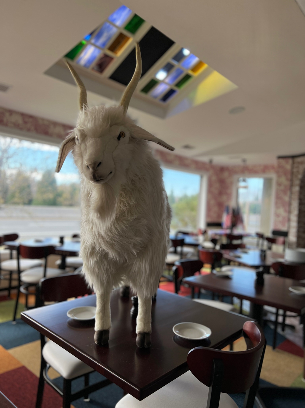 About - THE GOAT by David Burke