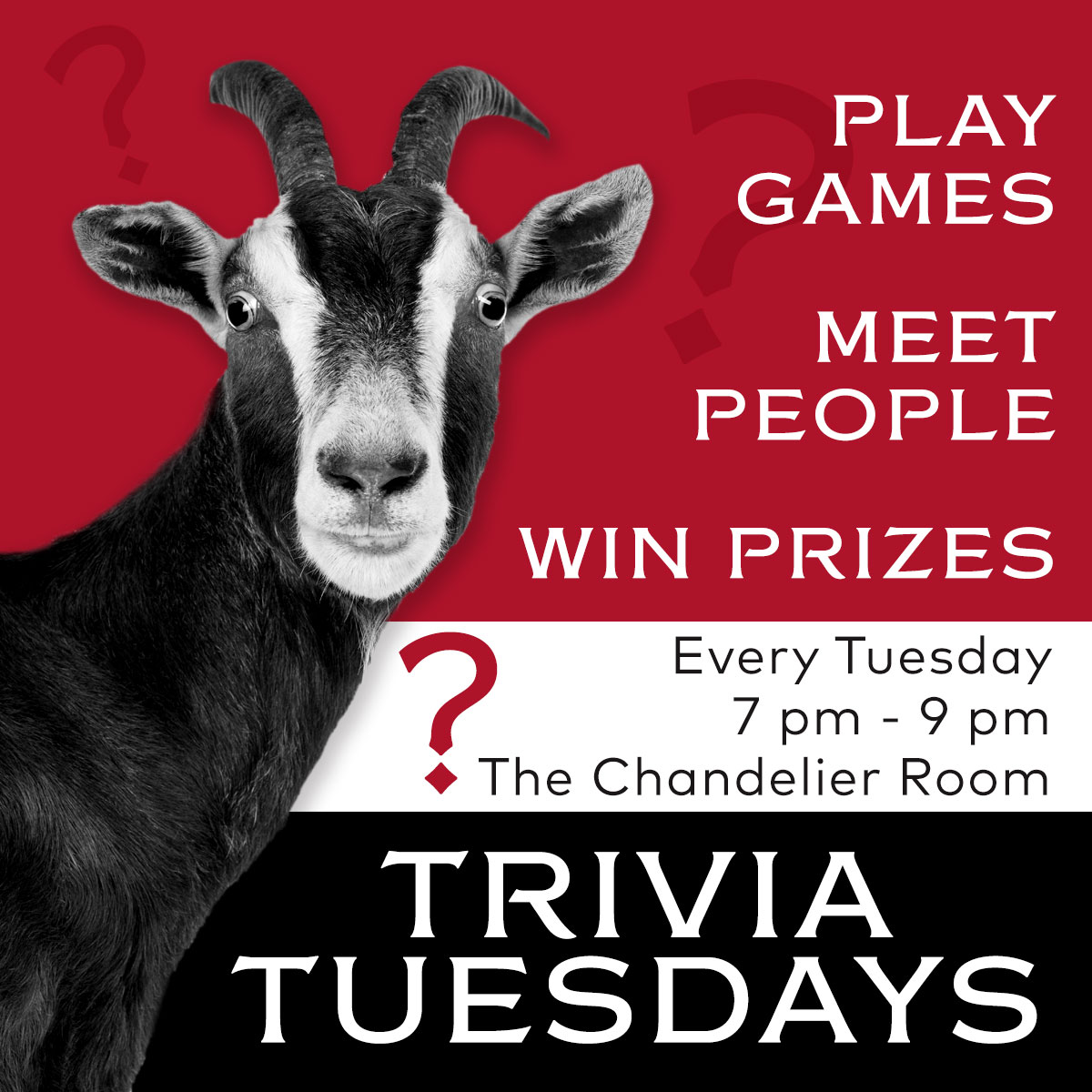 Trivia Tuesdays at THE GOAT