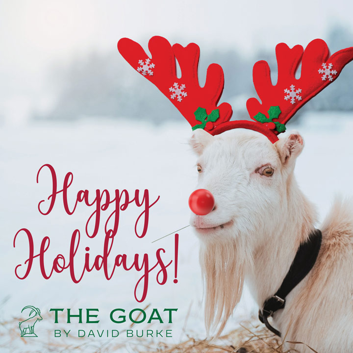 GOAT with REINDEER Antlers and a Rudolph Red Nose